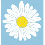 _.x.Daisy.x._