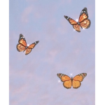 *~The butterfly’s~*