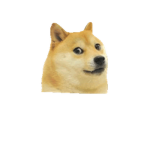 The Doge fan