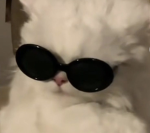 JE DONNE DES ROBUX NO FAKE LES AMIEES