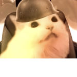 Wʜɪsᴋᴇʀ Wᴀʀʀɪᴏʀs