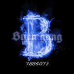 *~bUrNgAnG~*