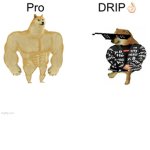 The dogecoin