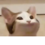 nlyb.