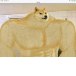 THE DOGE ARMY lol