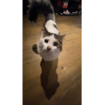 Emma_100739