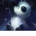 Panda Fan Club :3