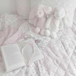 ◞ ꒷ . ˚