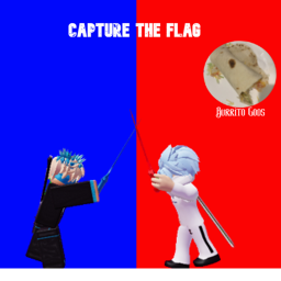 The Flag War