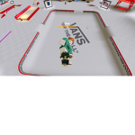 wanna skate