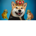 Imperial Doge Dynasty