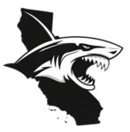 SSHARKCITY P