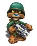 Teddy Warriors