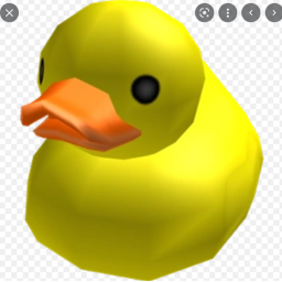 Ducks united Home (BETA 1.3)