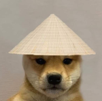 The Dog Crew With Hats