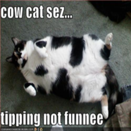 cow cat Roblox decal