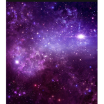 Stari skies!