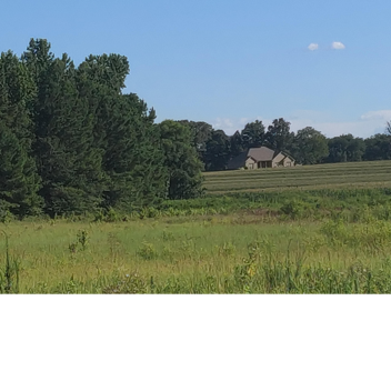 A place I've seen before