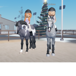 TJ Equestrian