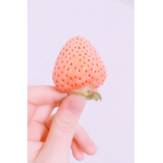 the aesthetic strawberryz