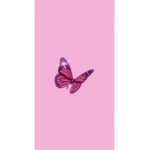 •ᴏʟɪᴠɪᴀ•