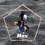 Max Gamer fans y subs