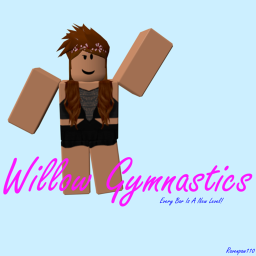 Willow Gymnastics's Home Gym