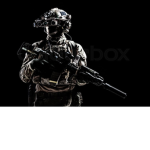 The Raiders Regiment