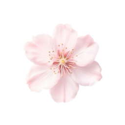 ・