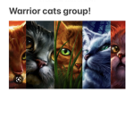 Warrior cats fan page/group!