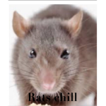 Insane Rat Posse