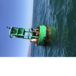 Emergency Responce Liberty County NYC RP group