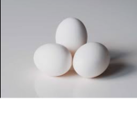Eggwin's Nation