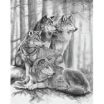 Anchor’s Wolf Pack!