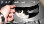 Kitty's Meme/totally not a group group