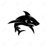 The dark side of the sea