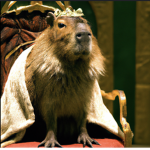 CapybaraUnited