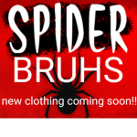 Spider Bruhs