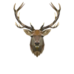 Stag Studio