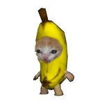 Chibee Group Thumbnail
