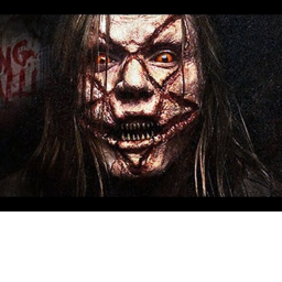 The walking dead horror phenomenon