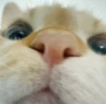 hmm..wuh Group Thumbnail