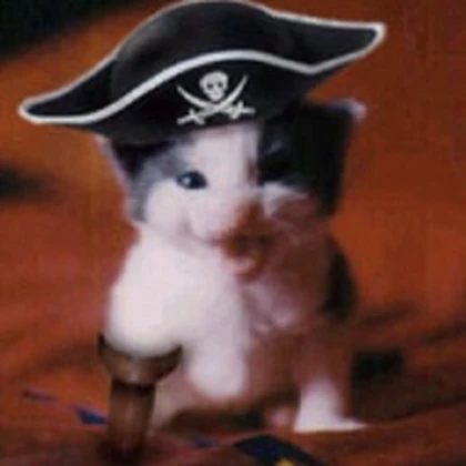 Pirates-Of-The-South Roblox group icon