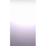 aestheticDinoo