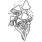 ~ bees clothing ~