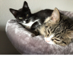Anna and Layla
