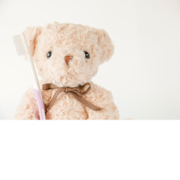 Teddy Bear Dentist Trainings