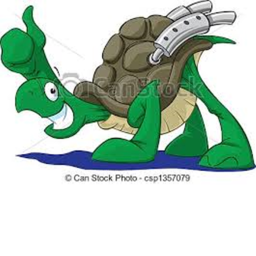Turtle Racing!