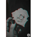 Queen Of Roses ;)