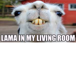 lama city